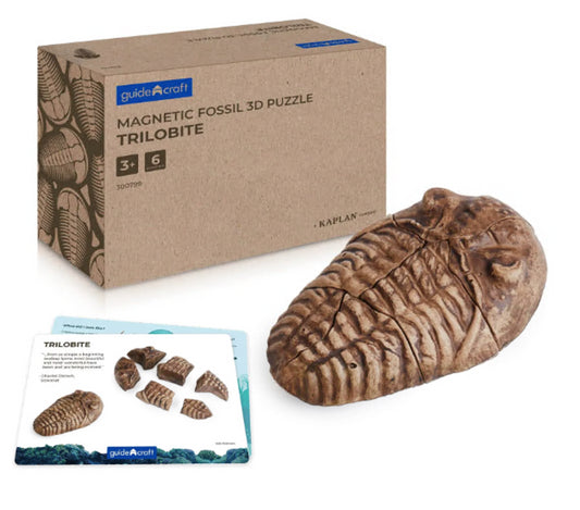 Magnetic Fossil 3D Puzzle- Trilobite