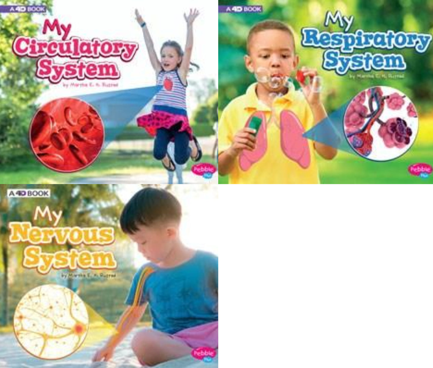 My Body Systems Series - 4D Books