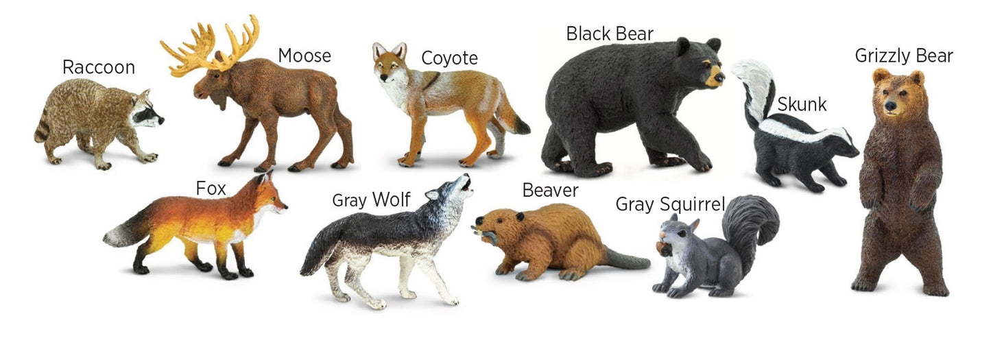 North American Animals - Set Of 10