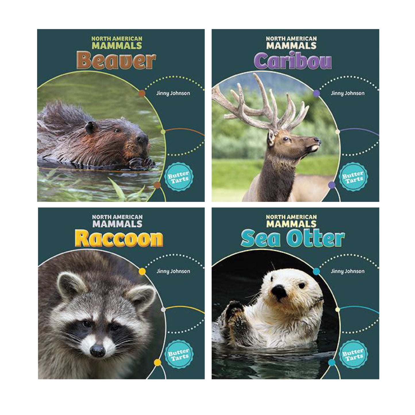 North American Mammals Series - Set of 4 Books