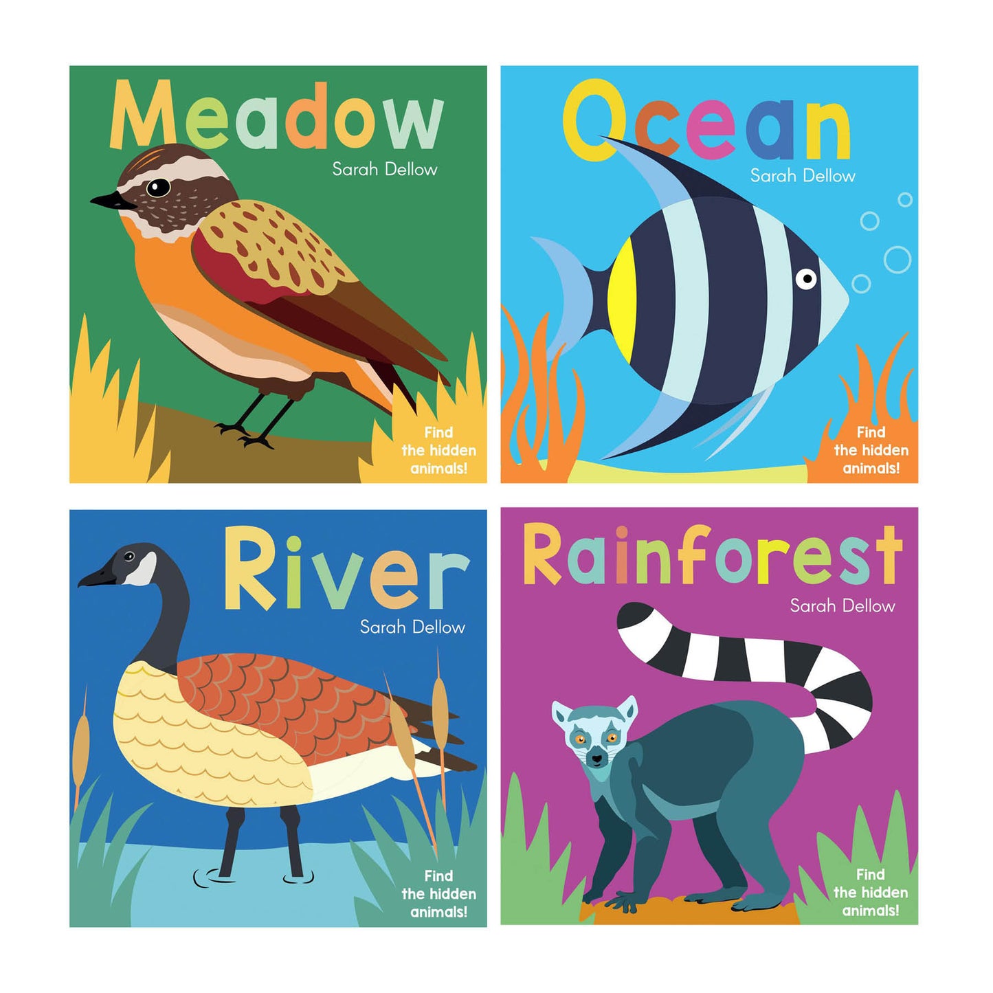 Now You See It! Series (Set of 4 Books)