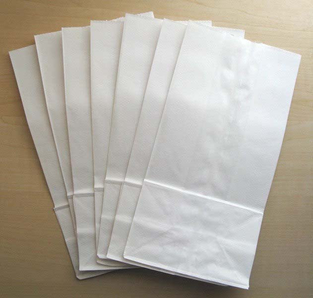 Paper Bags (100/pk)
