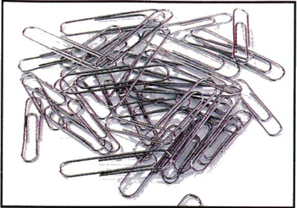 Paper Clips - 1.25" Diameter