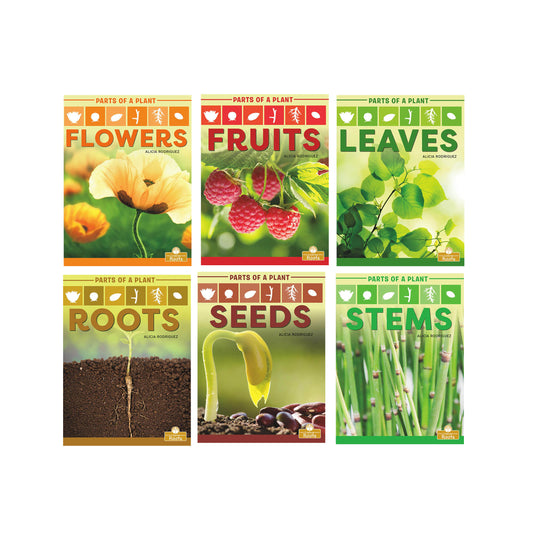 Parts Of A Plant - Set Of 6 Books