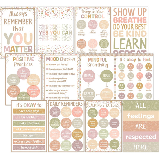 Positive Practices Small Poster Pack