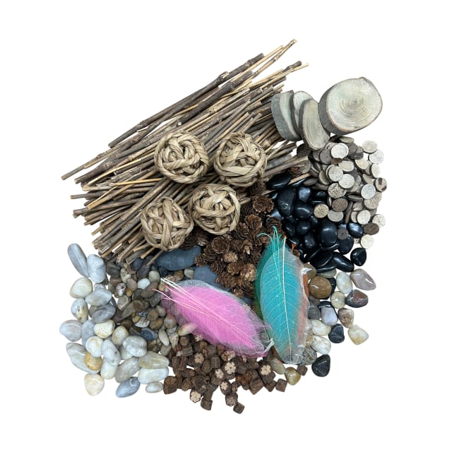 Naturals Discovery Set