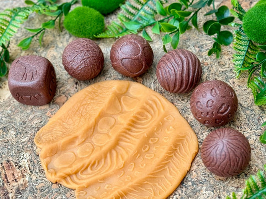 Roll Around Wild Animals (6 pieces)