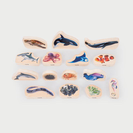 Wooden Sea Life Blocks - Pack of 15