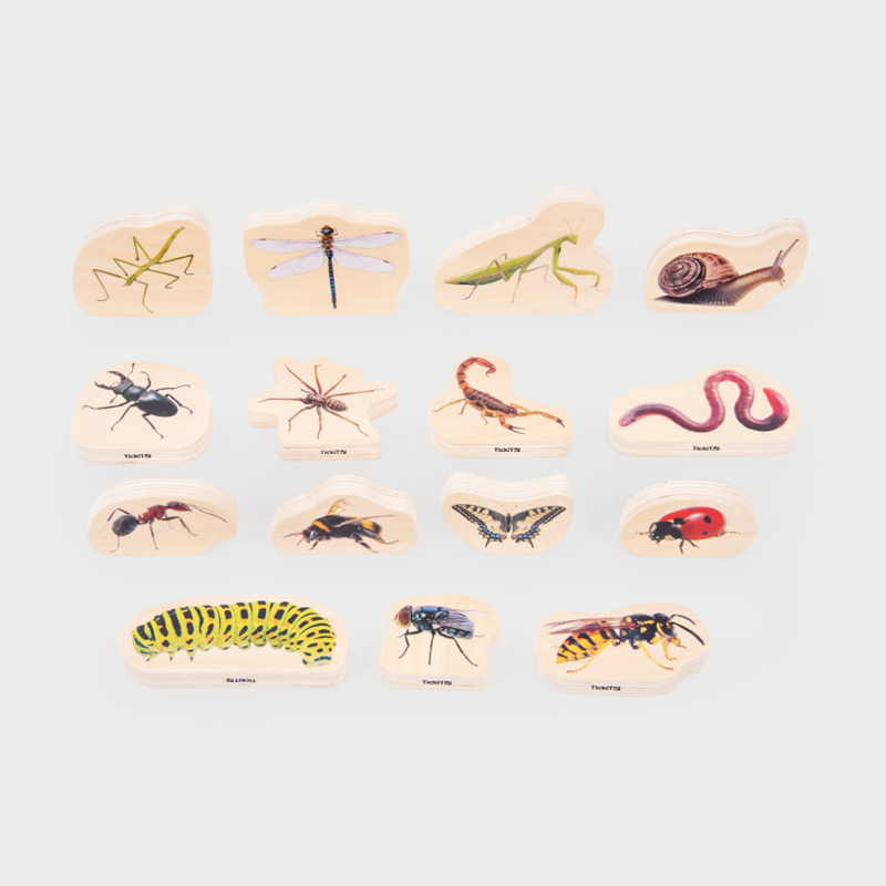 Wooden Minibeast Blocks - Pack of 15