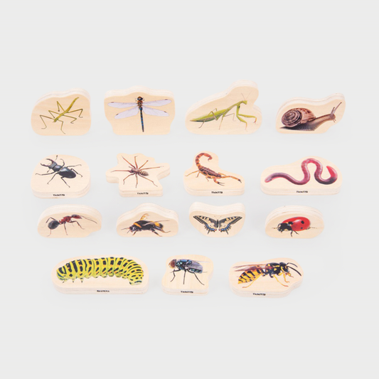 Wooden Minibeast Blocks - Pack of 15