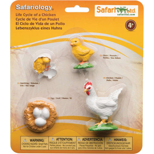 Safariology™ - Life Cycle of a Chicken
