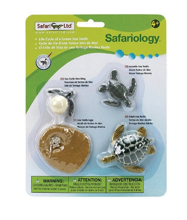 Safariology™ - Life Cycle of a Sea Turtle