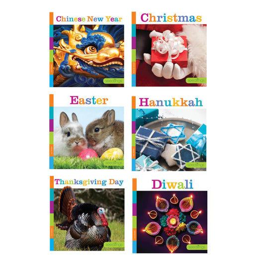 Seedlings Holidays Set Of 6 Books