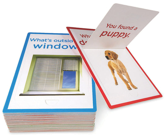 Seek-A-Boo: Flip-And-Find Word Cards