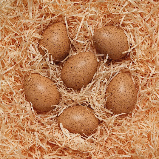 Sensory Sound Eggs - Set of 6