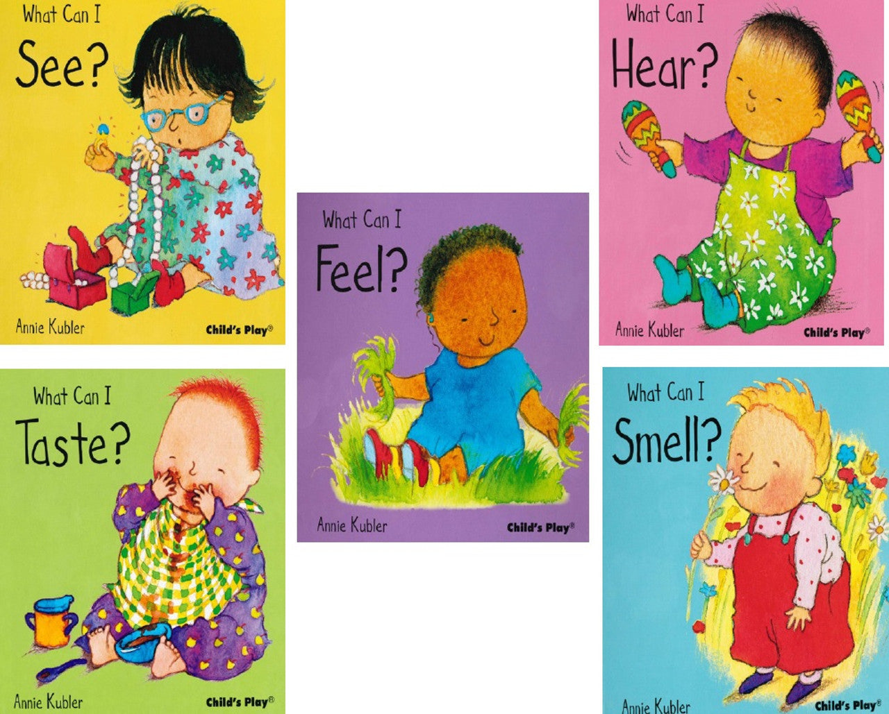 Small Senses Series- Set of 5 Books
