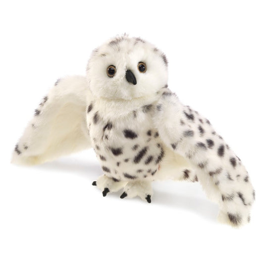 Snowy Owl
