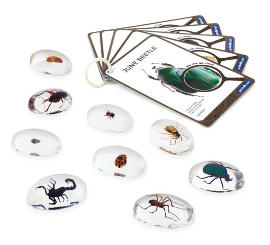Specimen Stones- Bugs (9 Stones & 9 Cards)