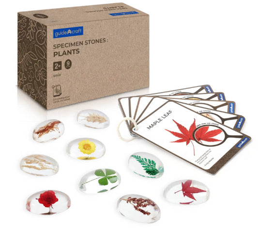Specimen Stones- Plants (9 Stones & 9 Cards)