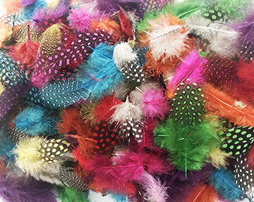 Speckled Colorful Feathers