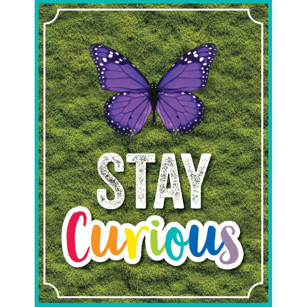 Stay Curious Chart