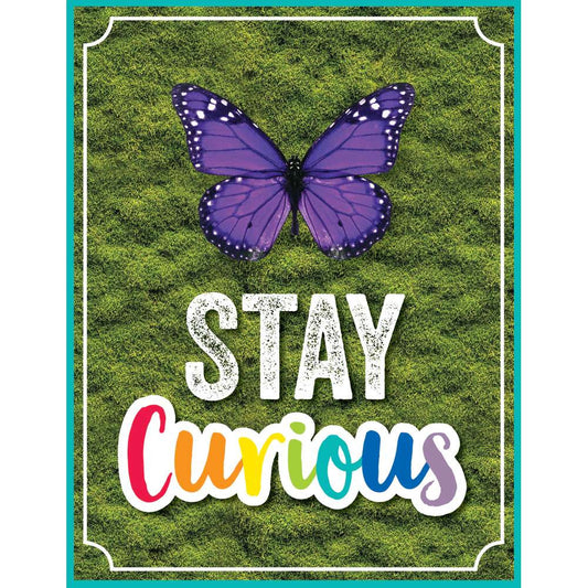 Stay Curious Chart
