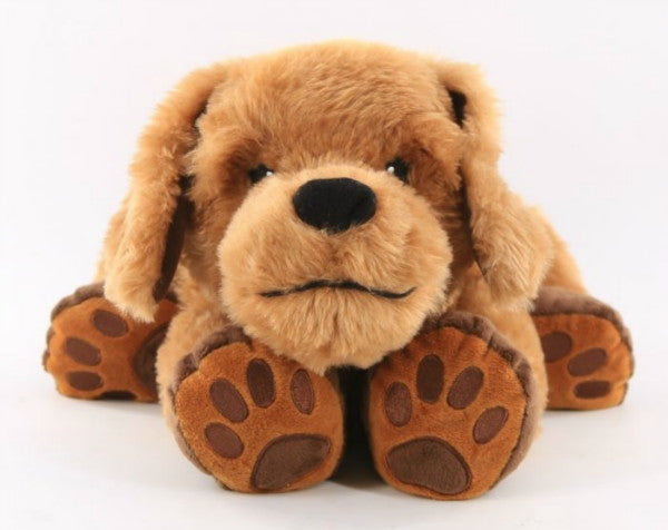 Theo The Therapy Dog