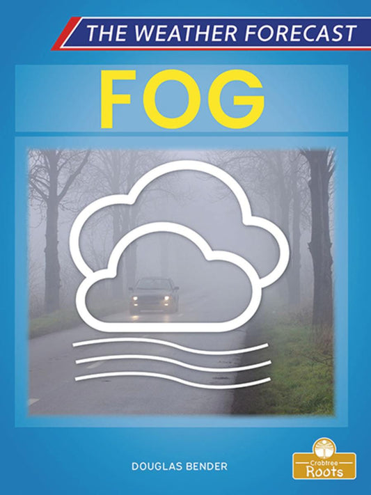 The Weather Forecast: Fog