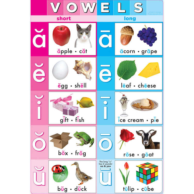 Vowels Phonics Smart Poly® Chart